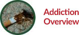 Addiction Overview